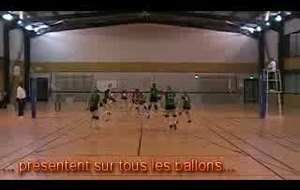 MLNVB-TSF